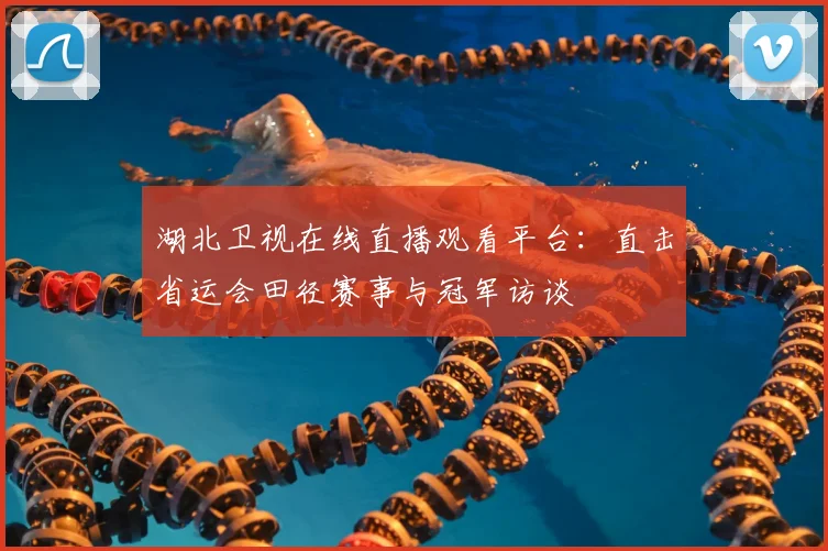 湖北卫视在线直播观看平台:直击省运会田径赛事与冠军访谈