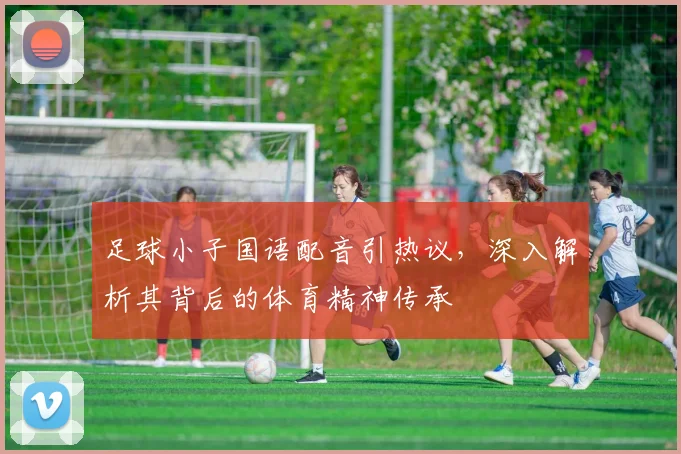 足球小子国语配音引热议，深入解析其背后的体育精神传承